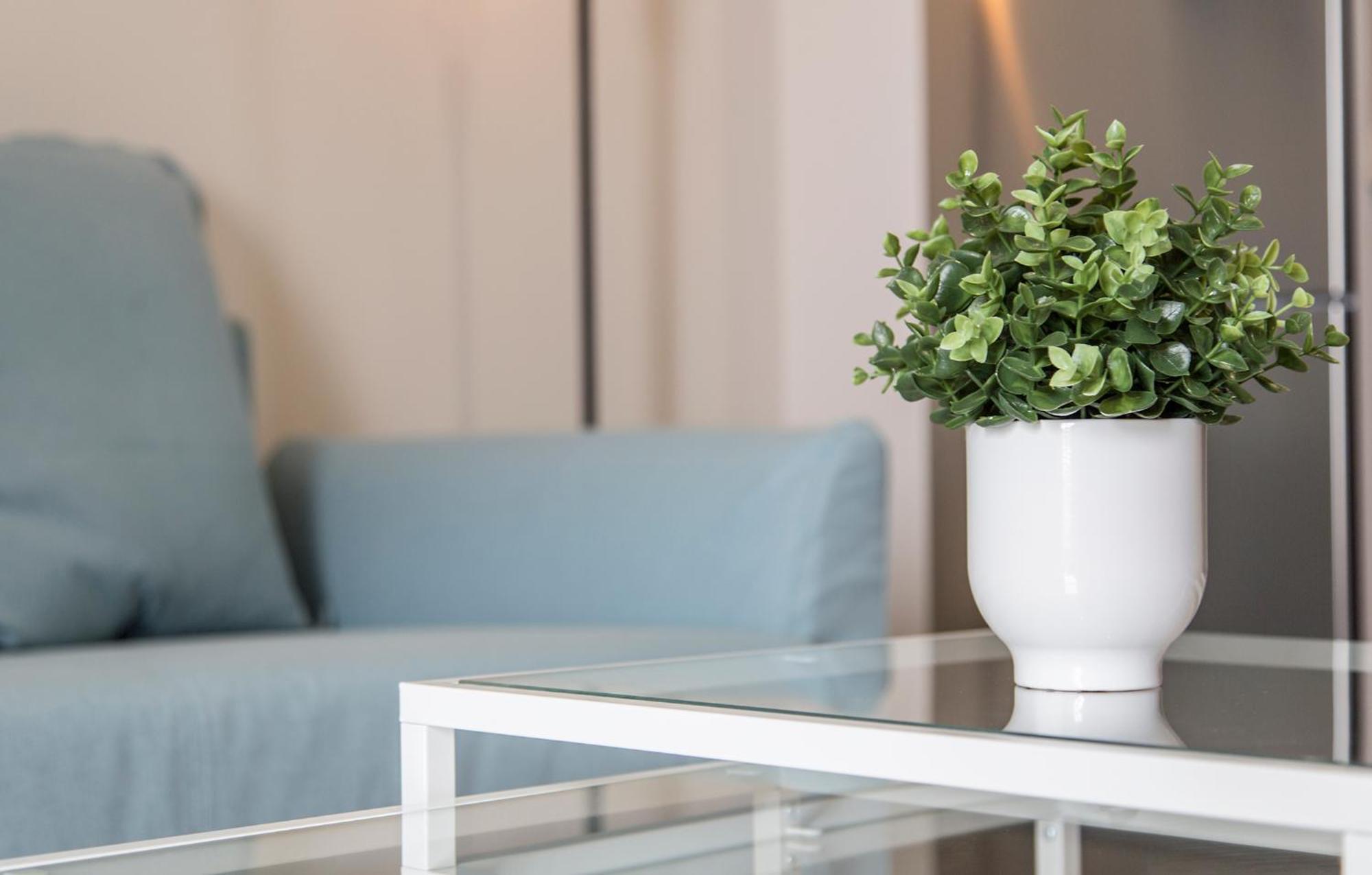 Apartoyou Premium - Apartamentos Casa Linares El Puerto de Santa María Dış mekan fotoğraf